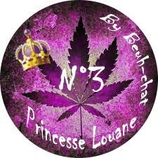 princesse louane3.jpg