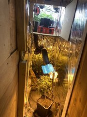 16967038-06F4-4788-B395-5F354414E8FC.jpeg
