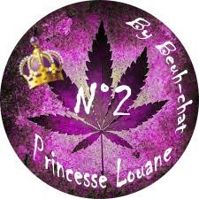 princesse louane2.jpg