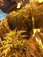 639C769D-2BE8-4640-BA99-F9D333C55EE5.jpeg