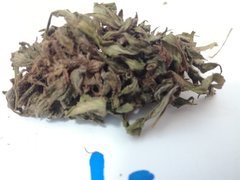 IMG_20211105_110903_1.jpg