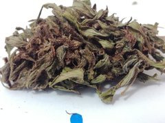 IMG_20211105_110918.jpg