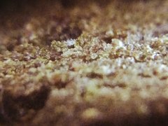 IMG_20211109_111556.jpg