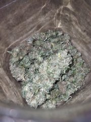 Mars hydro ts 1000 / nothern light oa seeds