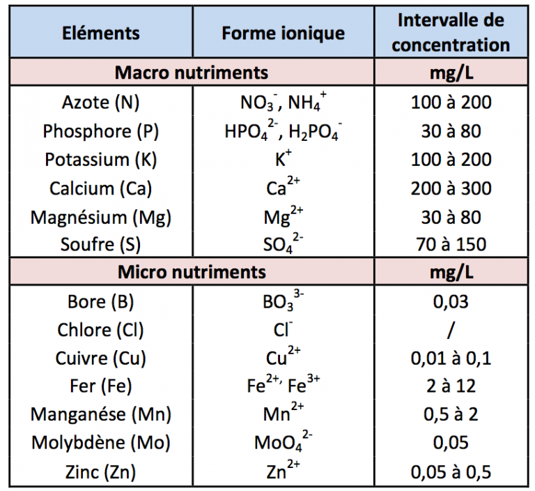 taux-nutriments-aquaponie-768x704.png.930e1bb3278b953ea4415249d4c451e0.png