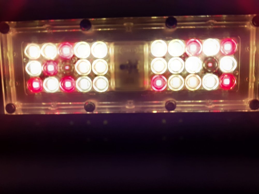 20211207_125935.thumb.jpg.173ac4692c047c12811a72f5863e1551.jpg