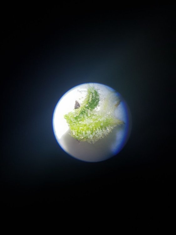 20211209_191814.jpg