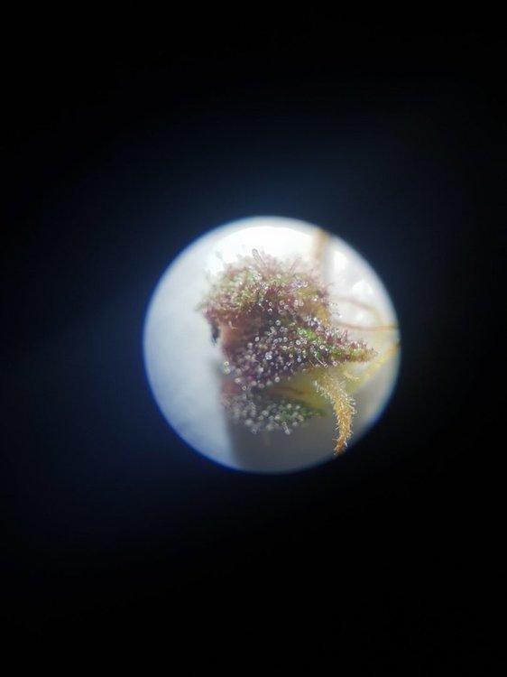 20211209_192258.jpg