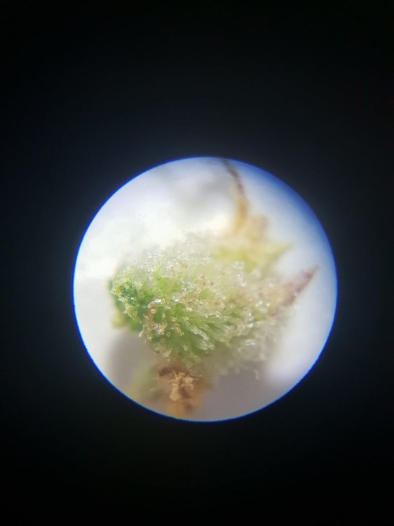 20211213_134752.jpg