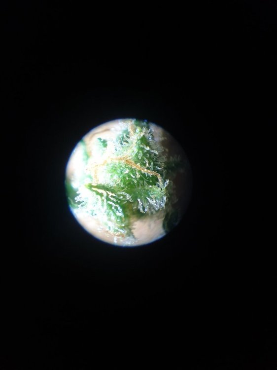 20211221_161504.jpg