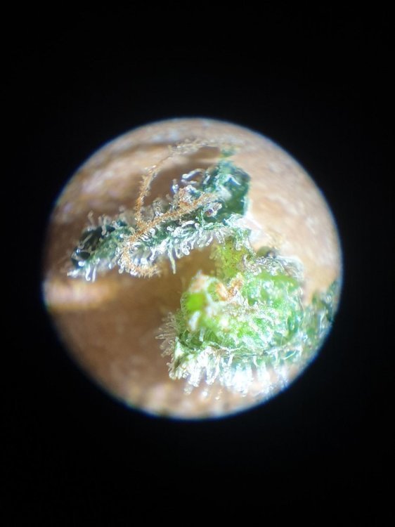 20211223_160752.jpg