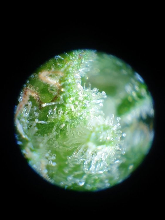 20211228_153430.jpg