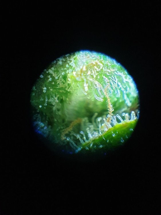 20211228_153941.jpg