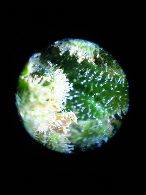 20211228_154133.jpg