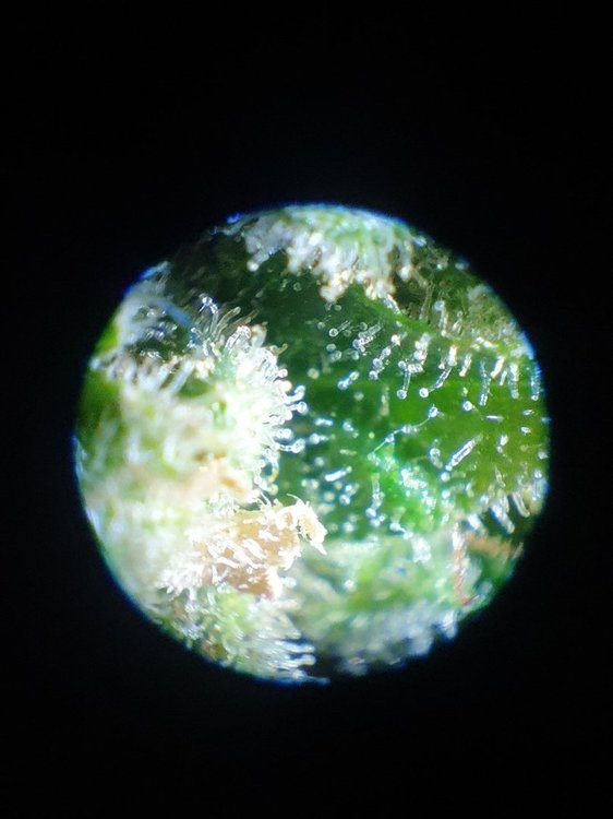 20211228_154144.jpg