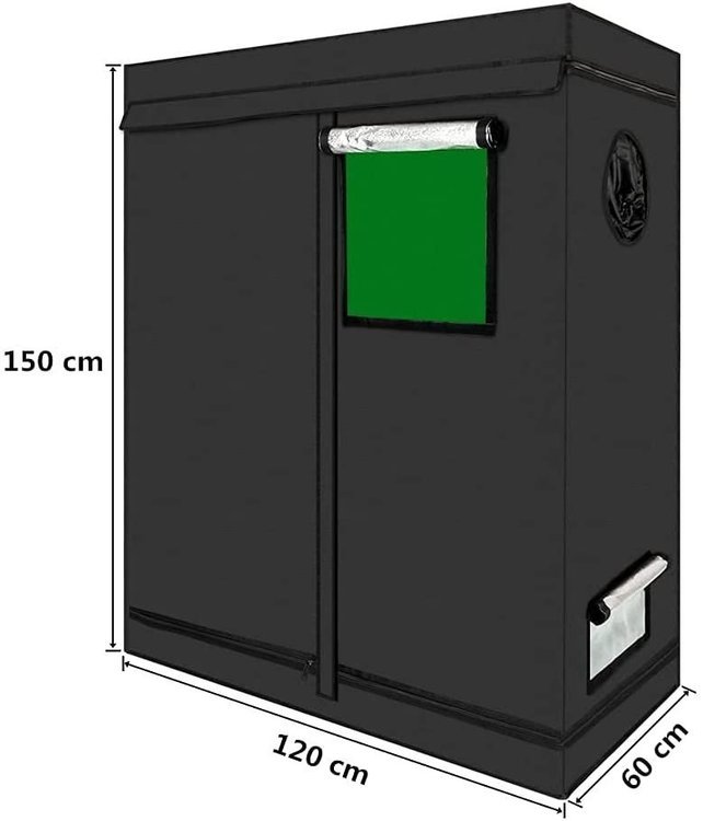 516nhFrbfdS._AC_SL1000_.jpg