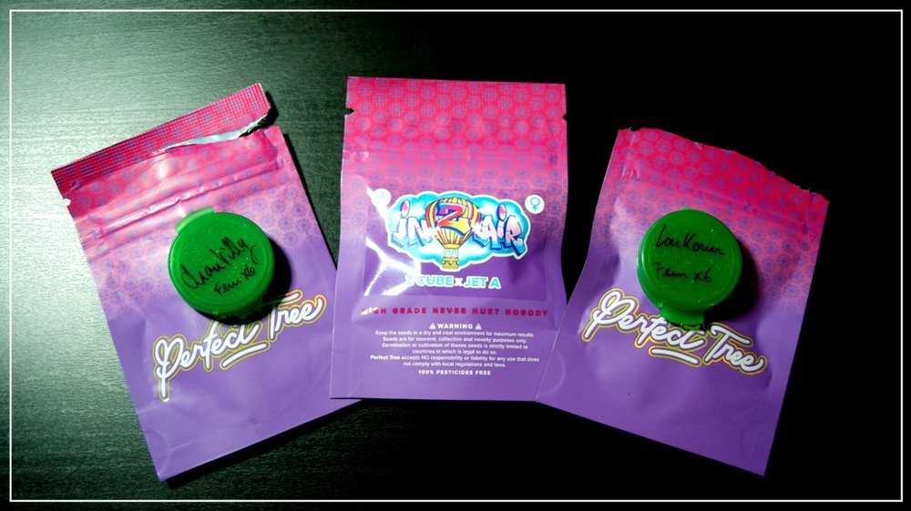 917586032_ChantillyLoukoumInZAir.thumb.JPG.b2464d8d08fa230f7de2671435e52721.JPG