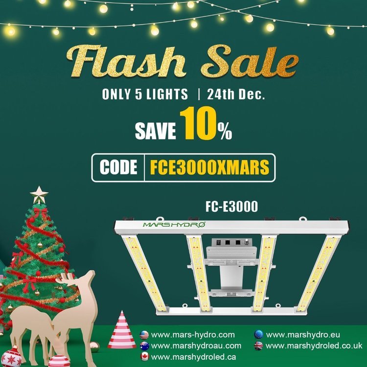 XMARS-FC-E3000-flash-deal.jpg