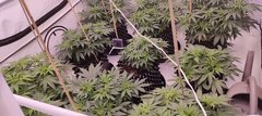 IMG20211213080053.jpg