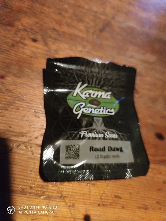 16413686992915724193700109164246.jpg