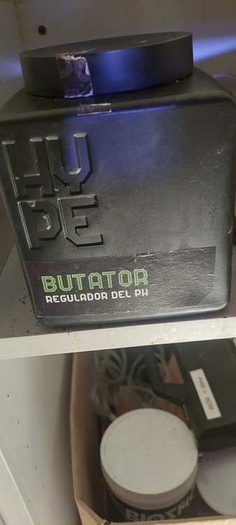 16423421802828494794591872839649.thumb.jpg.a6340f62a462d93d2bc533b7107d7b0b.jpg