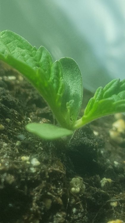20220102_113533_004.jpg