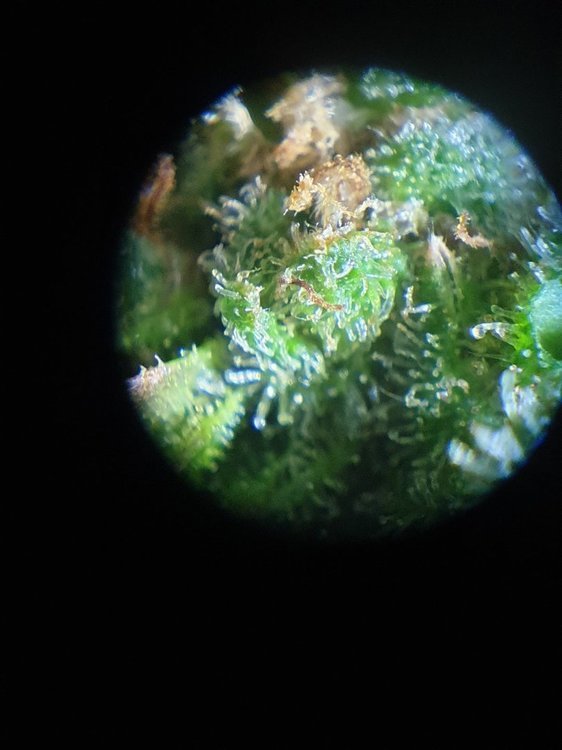 20220102_164831.jpg