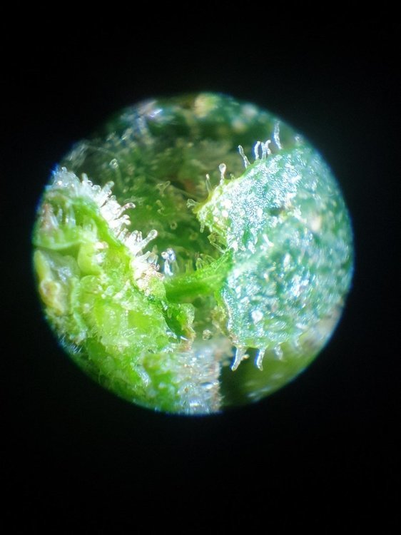 20220102_164852.jpg