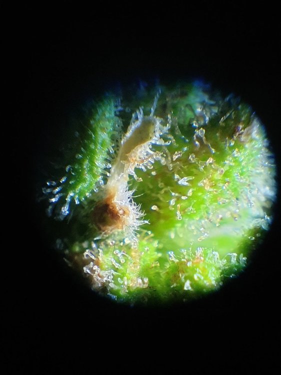 20220102_165001.jpg