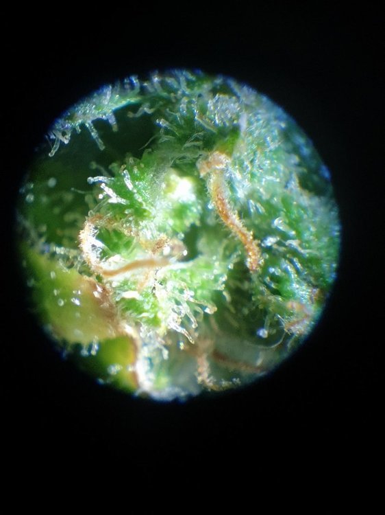 20220102_165033.jpg