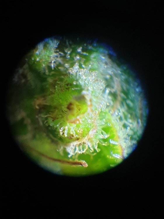 20220102_165127.jpg