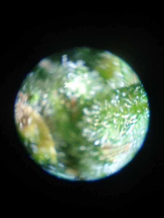 20220102_165149.jpg