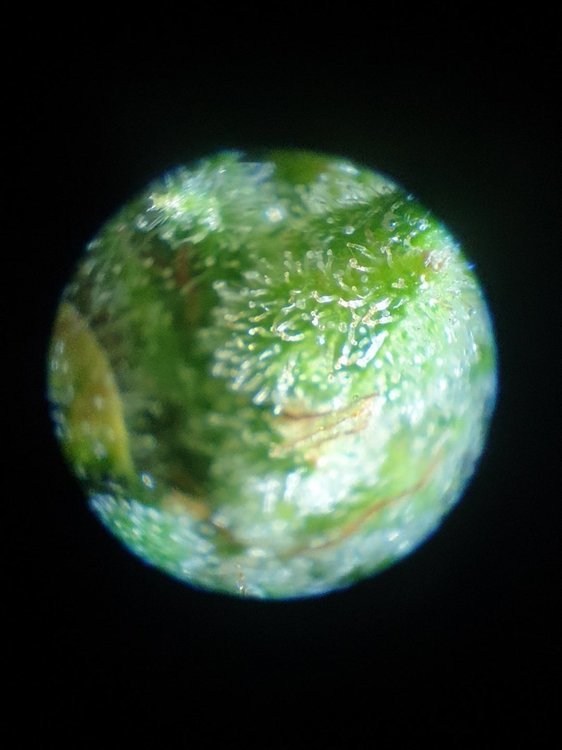 20220102_165155.jpg