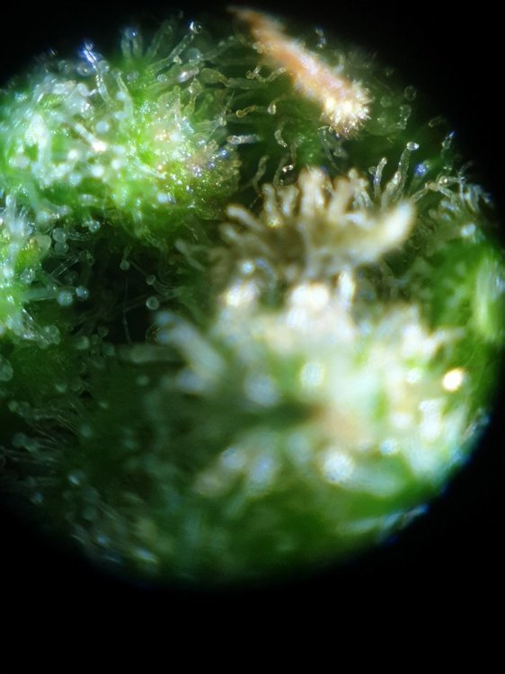 20220102_165723.jpg
