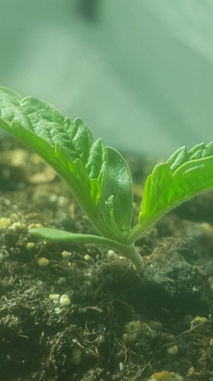 20220102_205204.jpg