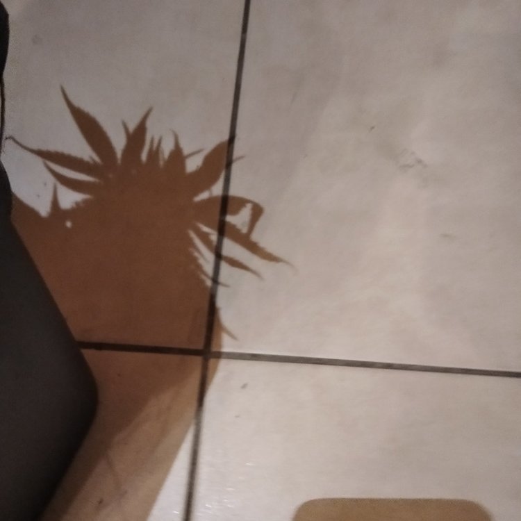 IMG_20220128_215524.thumb.jpg.5601712dcdaf85cb7326c5f318e2df37.jpg