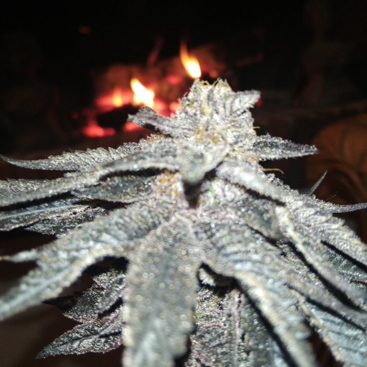 IMG_20220128_215640.jpg