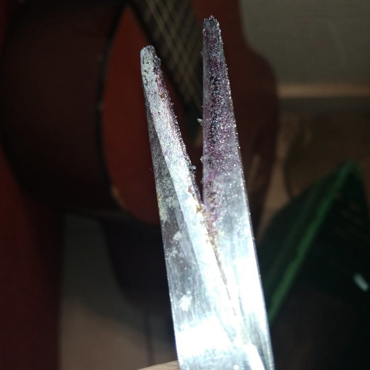 IMG_20220128_225446.thumb.jpg.354a8fac1c2d7425a92d166e69f07d41.jpg