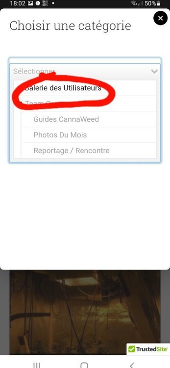 Screenshot_20220121-180219_Chrome.thumb.jpg.63f77942ab3f74dc02e7458343994f87.jpg