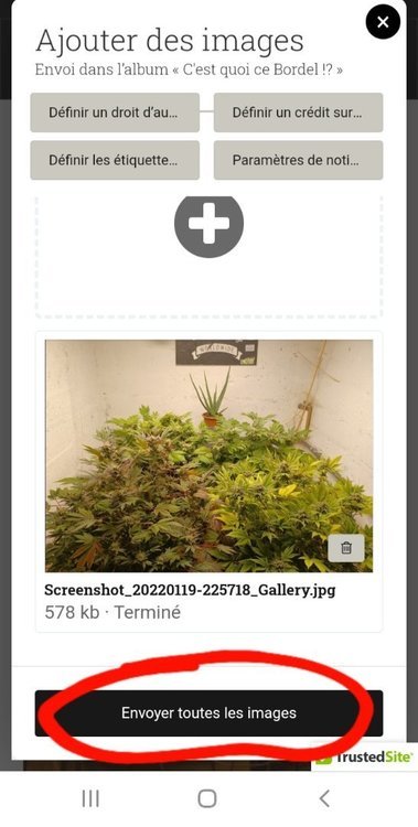Screenshot_20220121-180349_Chrome.thumb.jpg.5d8ef1d1de76620965f98f96fcdea944.jpg