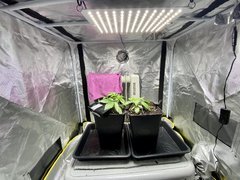 04993F1B-6D2A-41EC-B02E-B8744649F5AC.jpeg