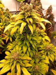 20220118_170840.jpg