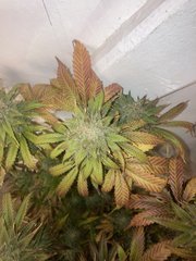 9A00A519-0177-4BF0-B17F-AA06A2663E74.jpeg