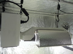 DSCN6066.JPG