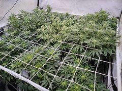 IMG20220105214519.jpg