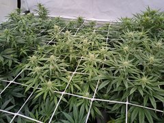 IMG20220105214526.jpg