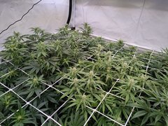 IMG20220105214531.jpg