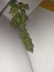IMG_20220101_092044.jpg