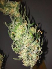 IMG_20220101_092143.jpg