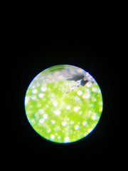 IMG_20220105_203417.jpg